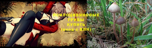 дистиллят марихуана Алексеевка