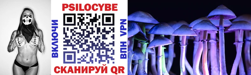 Галлюциногенные грибы Cubensis  Черкесск 